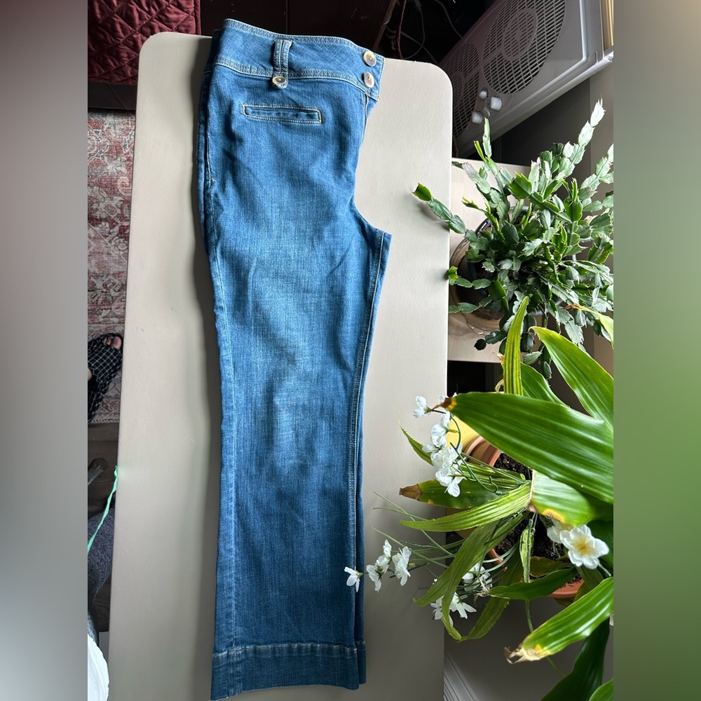 Pilcro and the Letterpress Anthropologie Denim Jeans High waist, button detail